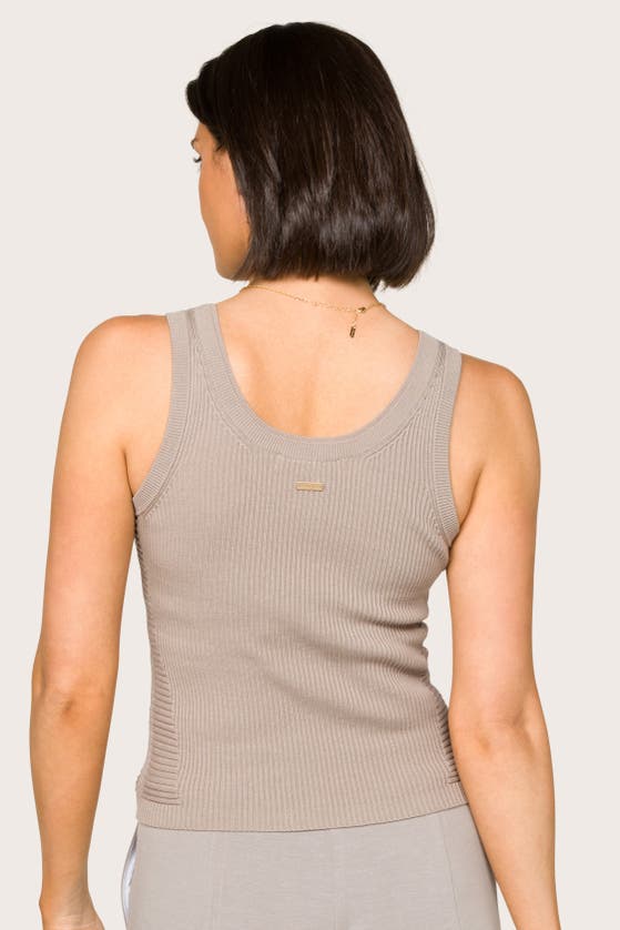 Shop Alala Vida Knit Tank In Stone