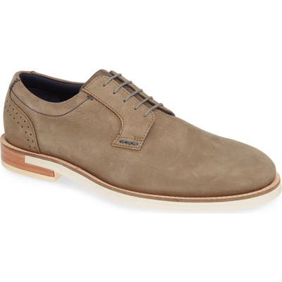 Ted Baker London Duglas Plain Toe Derby, Grey