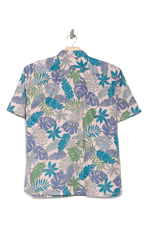Tori Richard Summer Song Regular Fit Short Sleeve Cotton Button-up Shirt In Pink