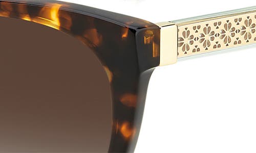 Kate Spade New York Phillipa 54mm Gradient Cat Eye Sunglasses In Havana/brown Sf Polar