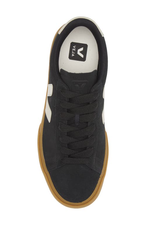 Shop Veja Campo Sneaker In Black Pierre