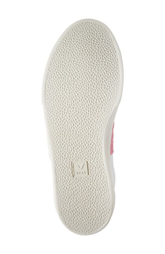 Shop Veja Esplar Sneaker In Extra-white Parme