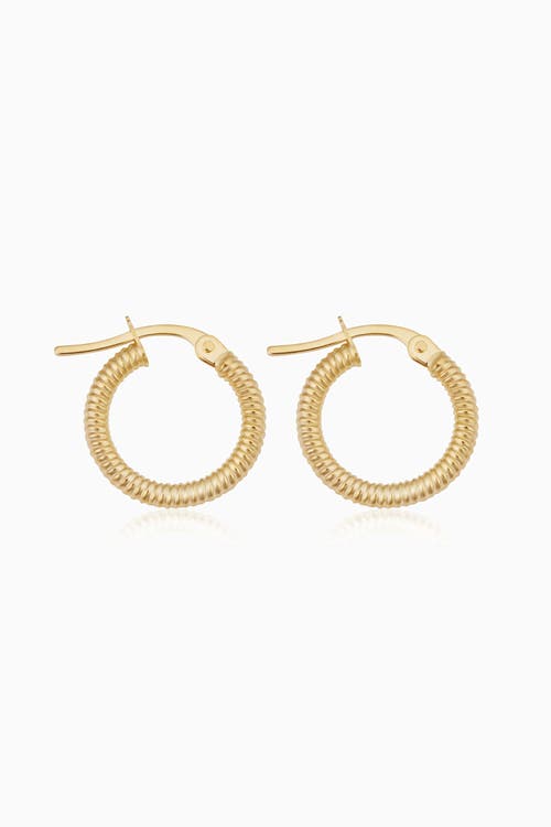 Oradina Ribbed Mini Hoops In Yellow Gold