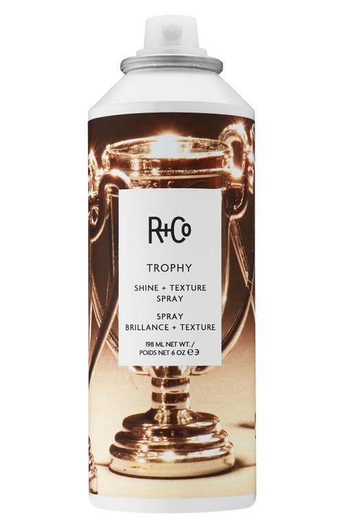 R+Co Trophy Shine Texture Spray