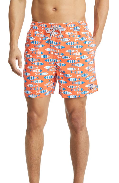 Tom & Teddy Fish Swim Trunks Striped Orange at Nordstrom,