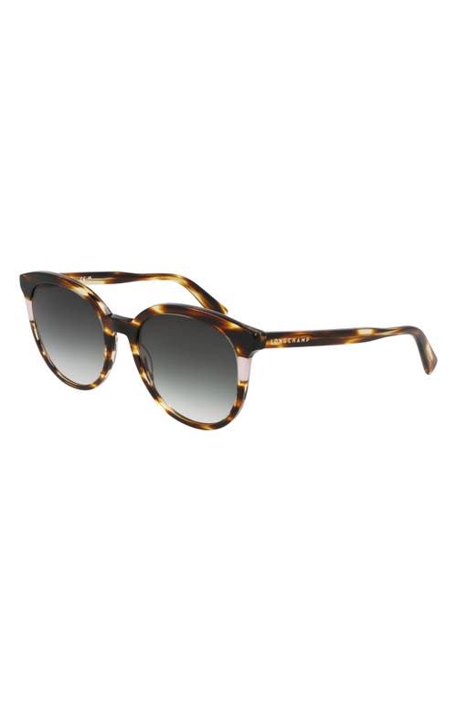 Longchamp Heritage 55mm Gradient Round Sunglasses In Striped Brown