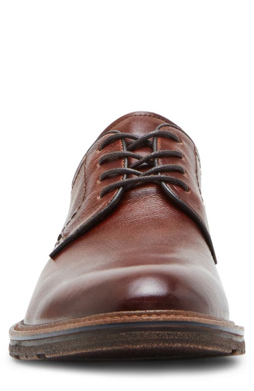 Steve Madden Hoxton Wingtip Derby In Cognac