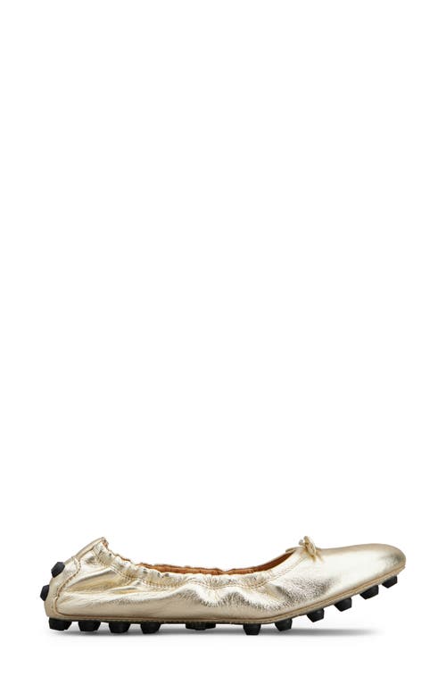 Tod's Bubble Bow Ballet Flat White Wool at Nordstrom,