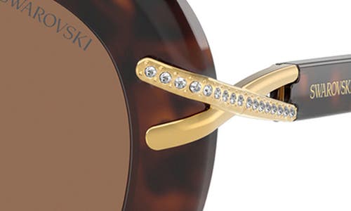 Swarovski 56mm Butterfly Sunglasses In Havana