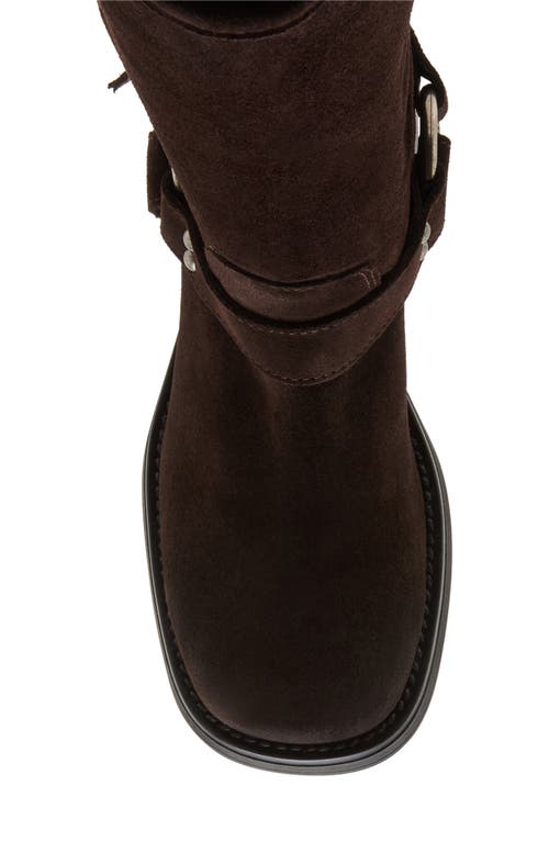 Steve Madden Astor Knee High Moto Boot In Brown Sued