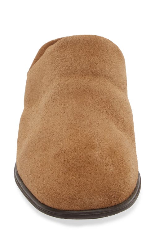 Naot Dedicate Mule In Acorn Suede