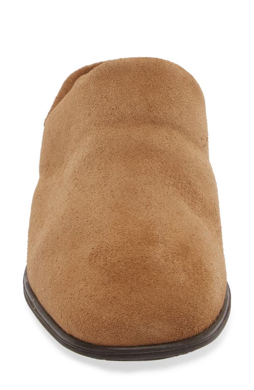 Shop Naot Dedicate Mule In Acorn Suede