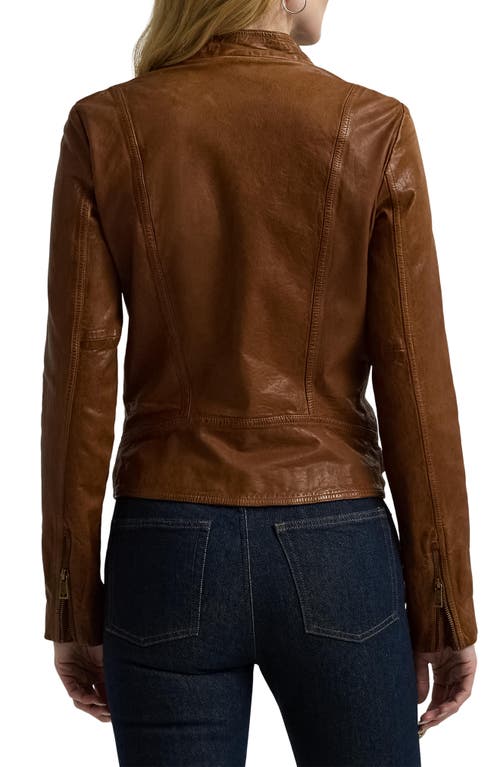 Shop Ralph Lauren Lauren  Leather Moto Jacket In Dark Walnut
