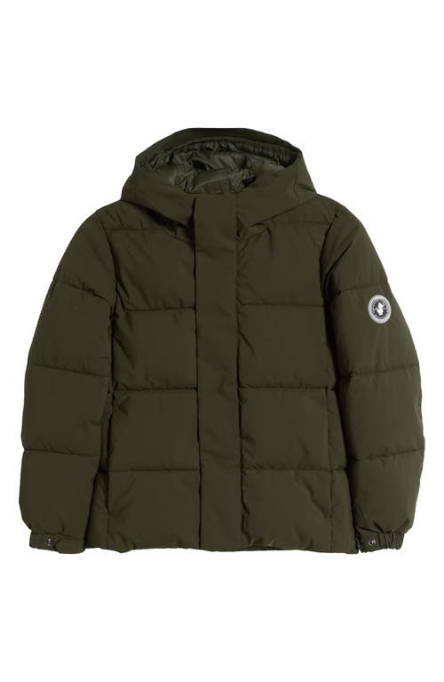 Save The Duck Kids' Norwood Quilted Hooded Jacket In Land Green