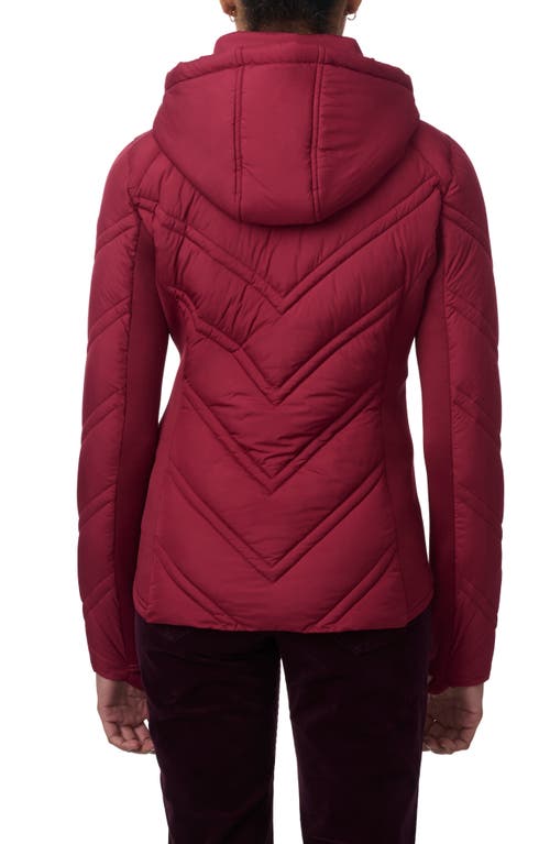 Shop Bernardo Hooded Puffer Jacket With Bib In Red Chinos