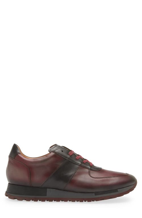 Mezlan Latini Sneaker In Graphite/red