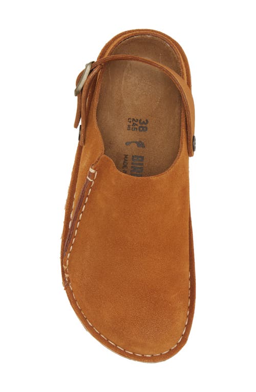 Birkenstock Lutry Clog In Brown, Men's At Urban Outfitters In Mink