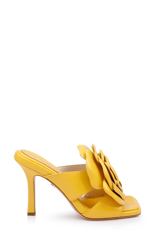 Shop Dee Ocleppo Kingston Slide Sandal In Yellow Leather