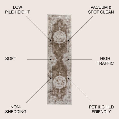 Jonathan Y Rosalia Cottage Medallion Area Rug In Cream/brown