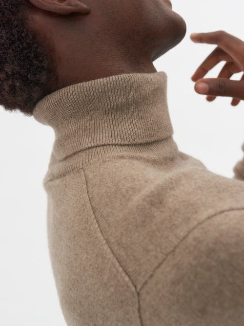 Shop Gobi Cashmere Turtle Neck In Taupe