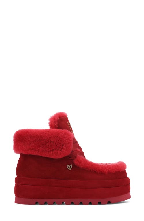 Shop Naked Wolfe Bambi Genuine Shearling Platform Bootie In Burgundy-suede/shearling