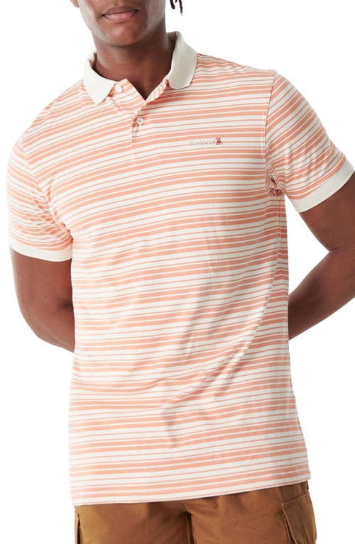 Barbour Deanbank Stripe Polo in Coral/Whisper White at Nordstrom, Size Large