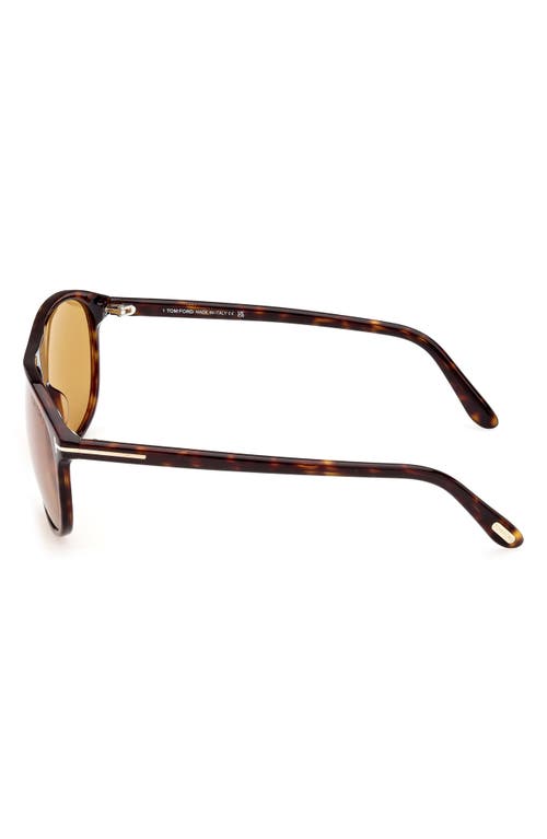 Shop Tom Ford Prescott 60mm Square Sunglasses In Shiny Dark Havana/amber