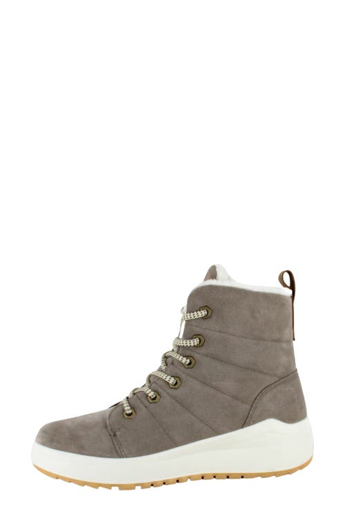 Naot Turner Water Resistant Lace-up Bootie In Gray/beige W/white