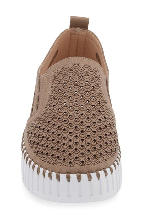 Shop Ilse Jacobsen Tulip Slip-on Sneaker In Falcon