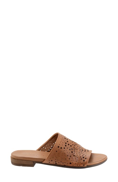 Shop Bueno Turner Perforated Slide Sandal In Dark Tan