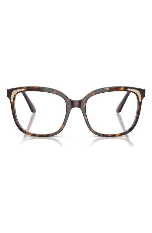 Swarovski 54mm Butterfly Optical Glasses In Havana