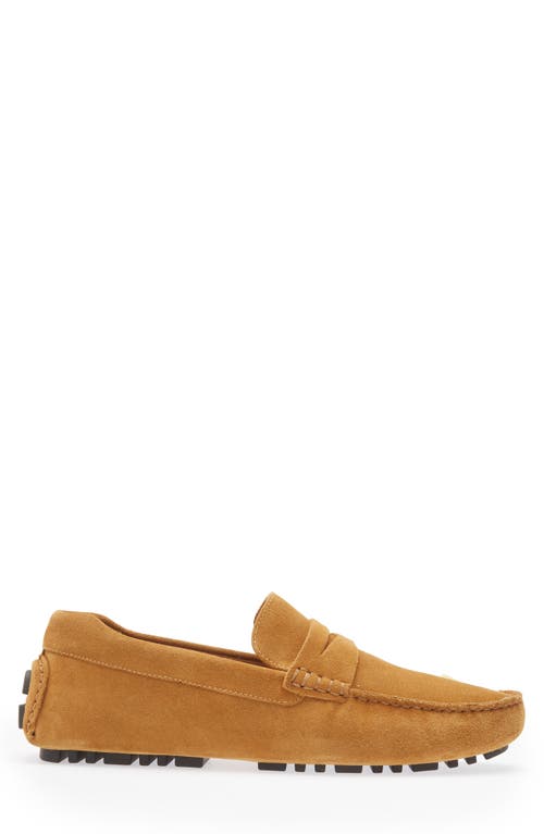 Shop Nordstrom Driving Penny Loafer In Tan Spice