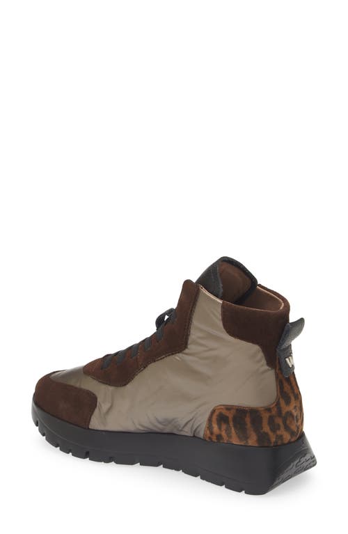 Wonders Fashion High-top Sneaker In Brown Maroon Leo Combo
