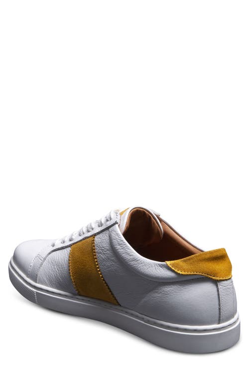 Shop Allen Edmonds Courtside Sport Sneaker In White/yellow