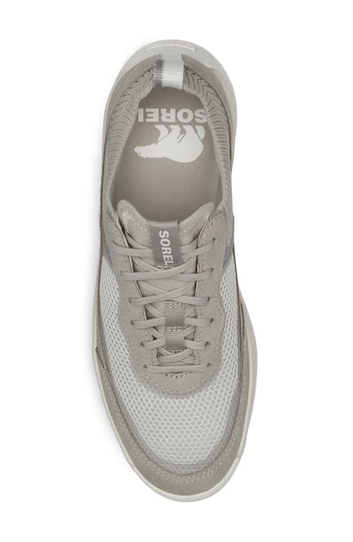 Sorel Ona 503 Low-top Sneakers In Moonstone/dove