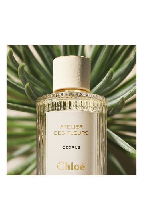 Chloé Atelier Des Fleurs Cedrus Eau De Parfum In No Color