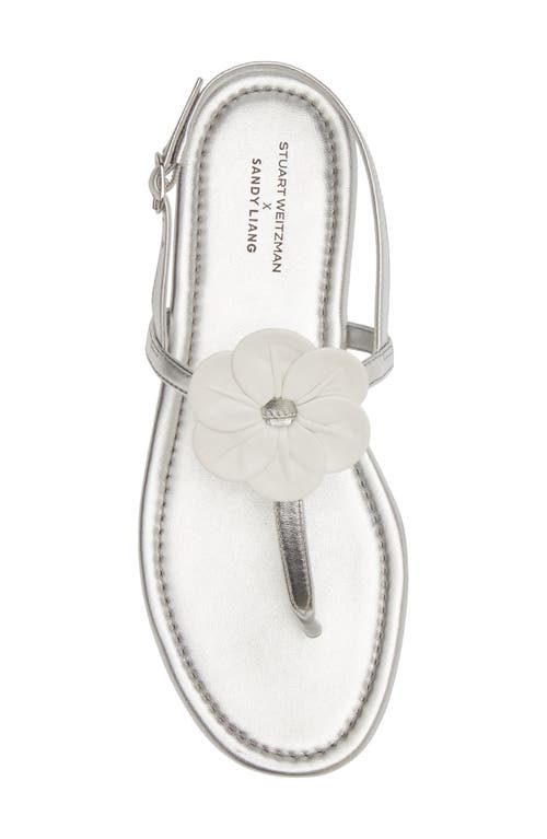 Stuart Weitzman X Sandy Liang T-strap Slingback Sandal In Silver/ White