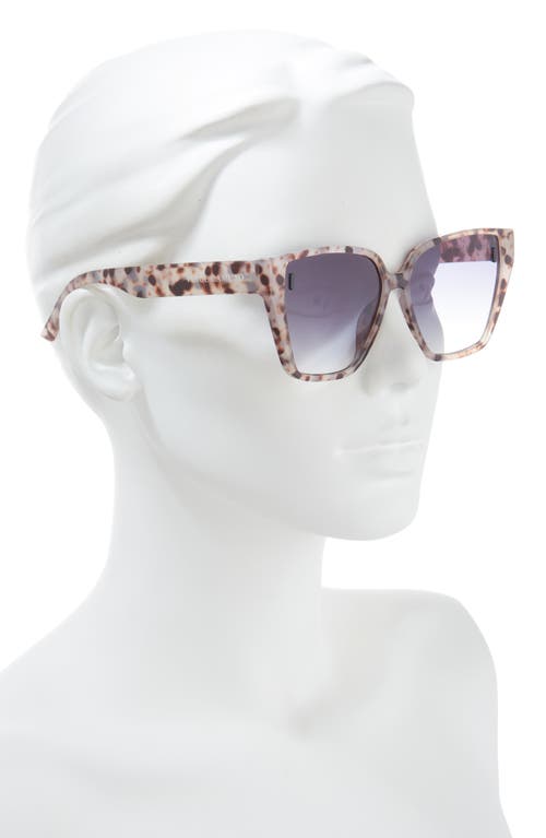 Vince Camuto 56mm Cat Eye Sunglasses In Animal