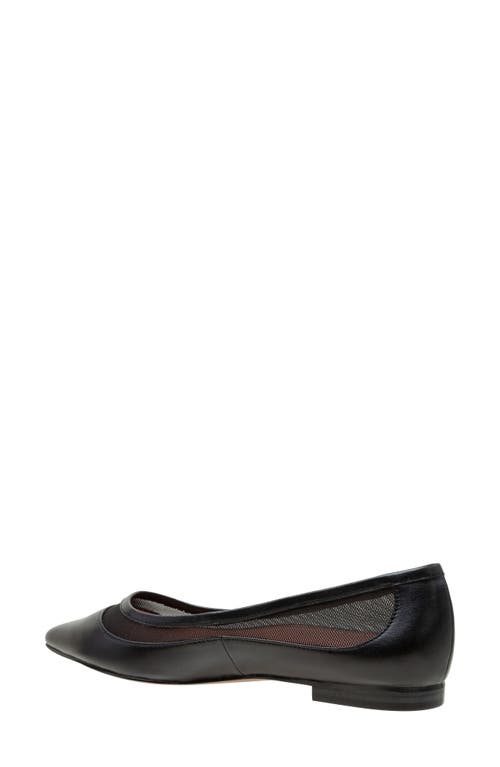 Linea Paolo Novah Pointed Toe Flat In Black