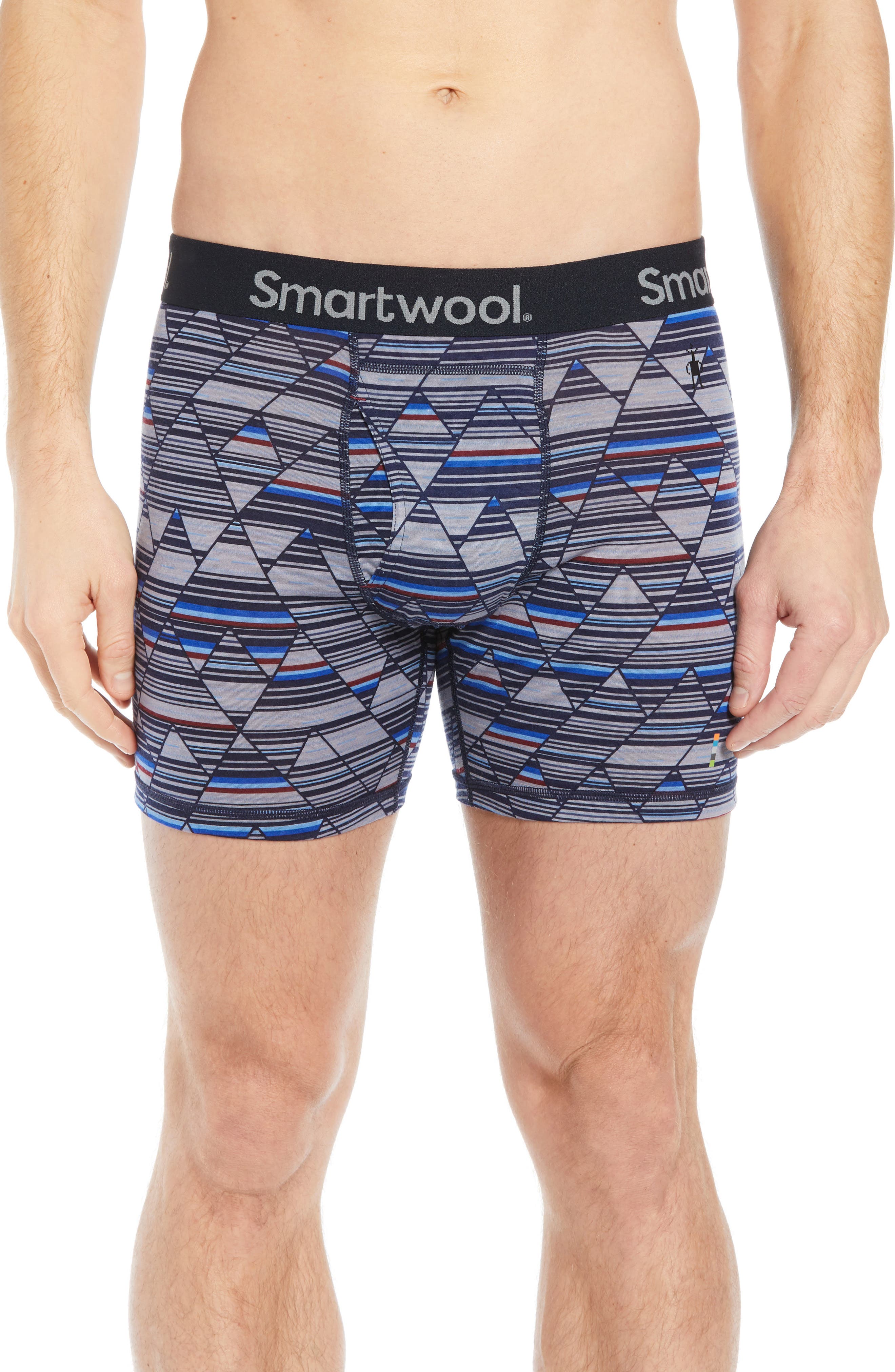 Smartwool Merino 150 Wool Blend Boxer Briefs, Blue