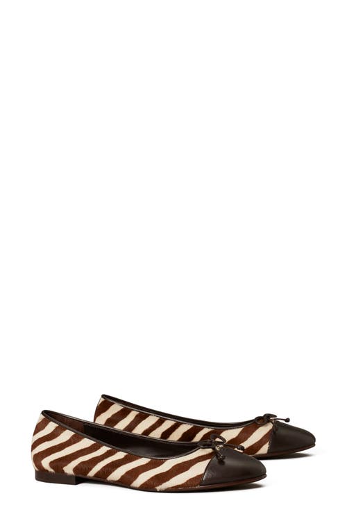 Tory Burch Zebra Genuine Calf Hair Ballet Flat in Zebra /Coco at Nordstrom, Size 6