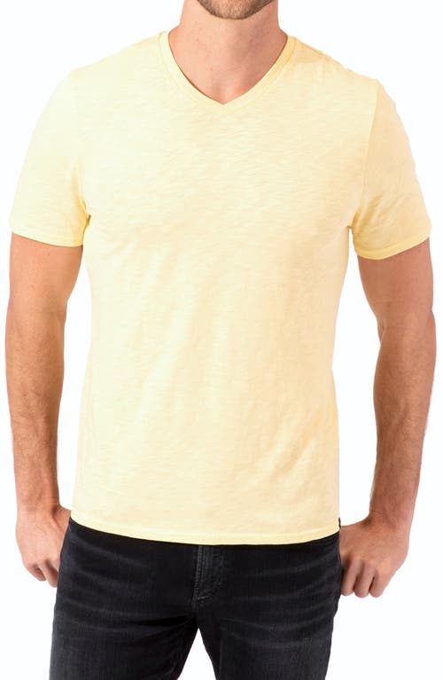 V-Neck Organic Cotton T-Shirt in Sunstone