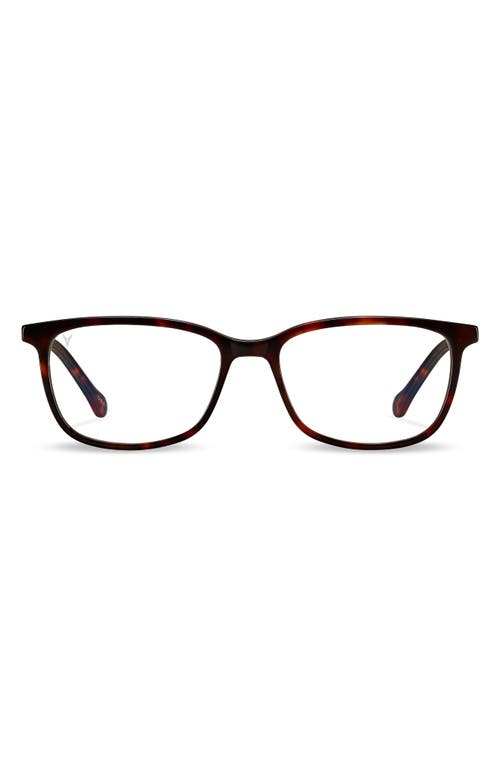 Camden 53mm Optical Glasses in Tortoise/Clear