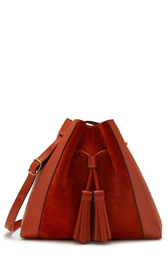 MULBERRY photo