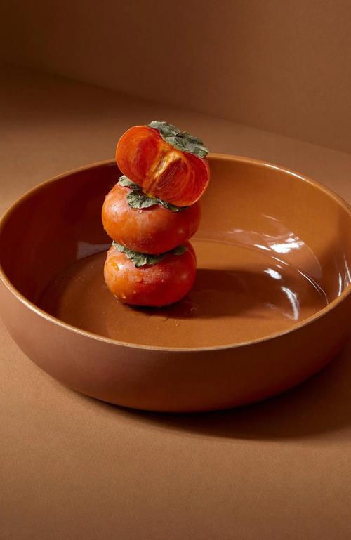 Gharyan Stoneware Shallow Stoneware Serving Bowl In Terracotta