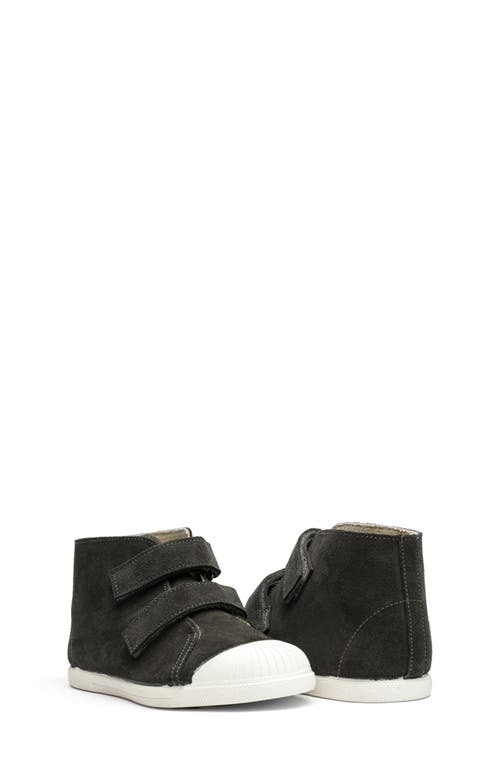 CHILDRENCHIC High Top Suede Sneaker at Nordstrom,
