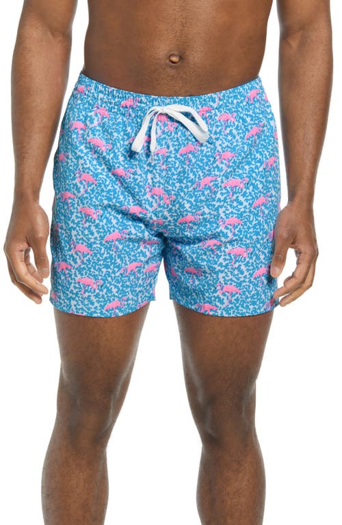 Chubbies Classic Lined 5.5-Inch Swim Trunks Bright Blue Domingos at Nordstrom,