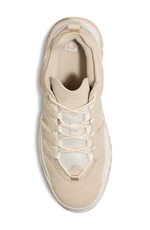 Shop Ugg(r) Captrail Low Sneaker In Light Beige