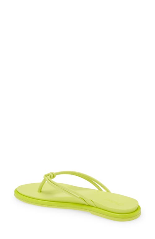 Shop Olukai Aka Flip Flop In Citron/citron