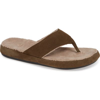 Acorn Flip Flop, Brown